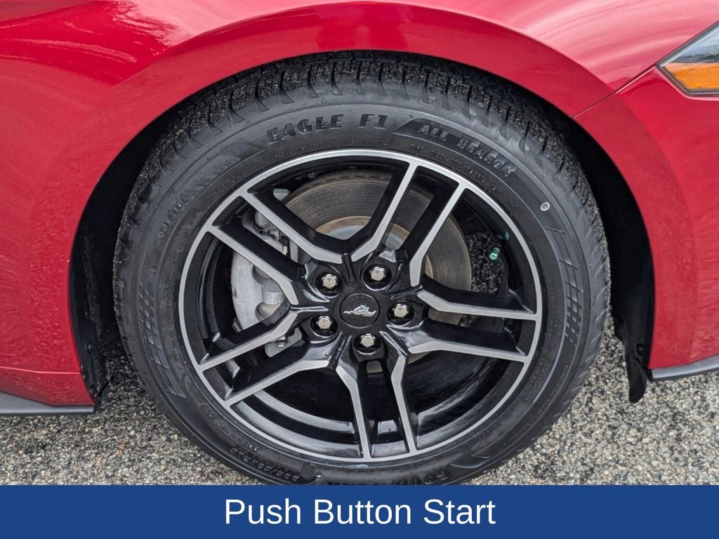 2021 Ford Mustang EcoBoost