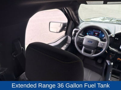 2024 Ford F-150 STX