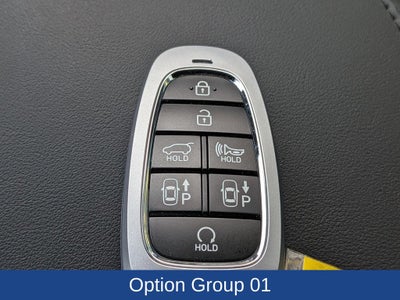 2025 Hyundai Palisade Calligraphy Night Edition